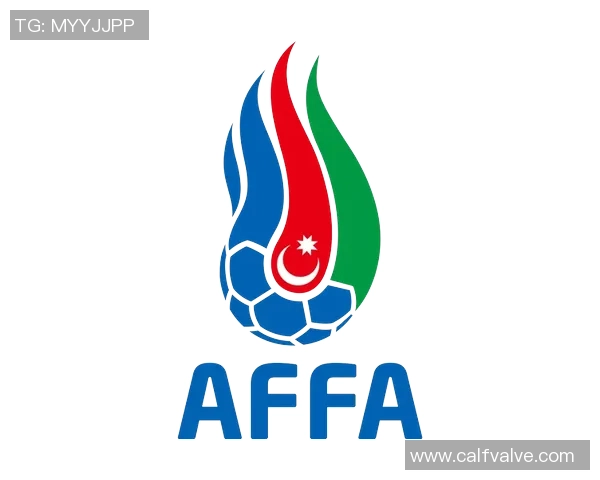 全球足球球星英文名字全解析 让你轻松了解每位球员的名字背后故事